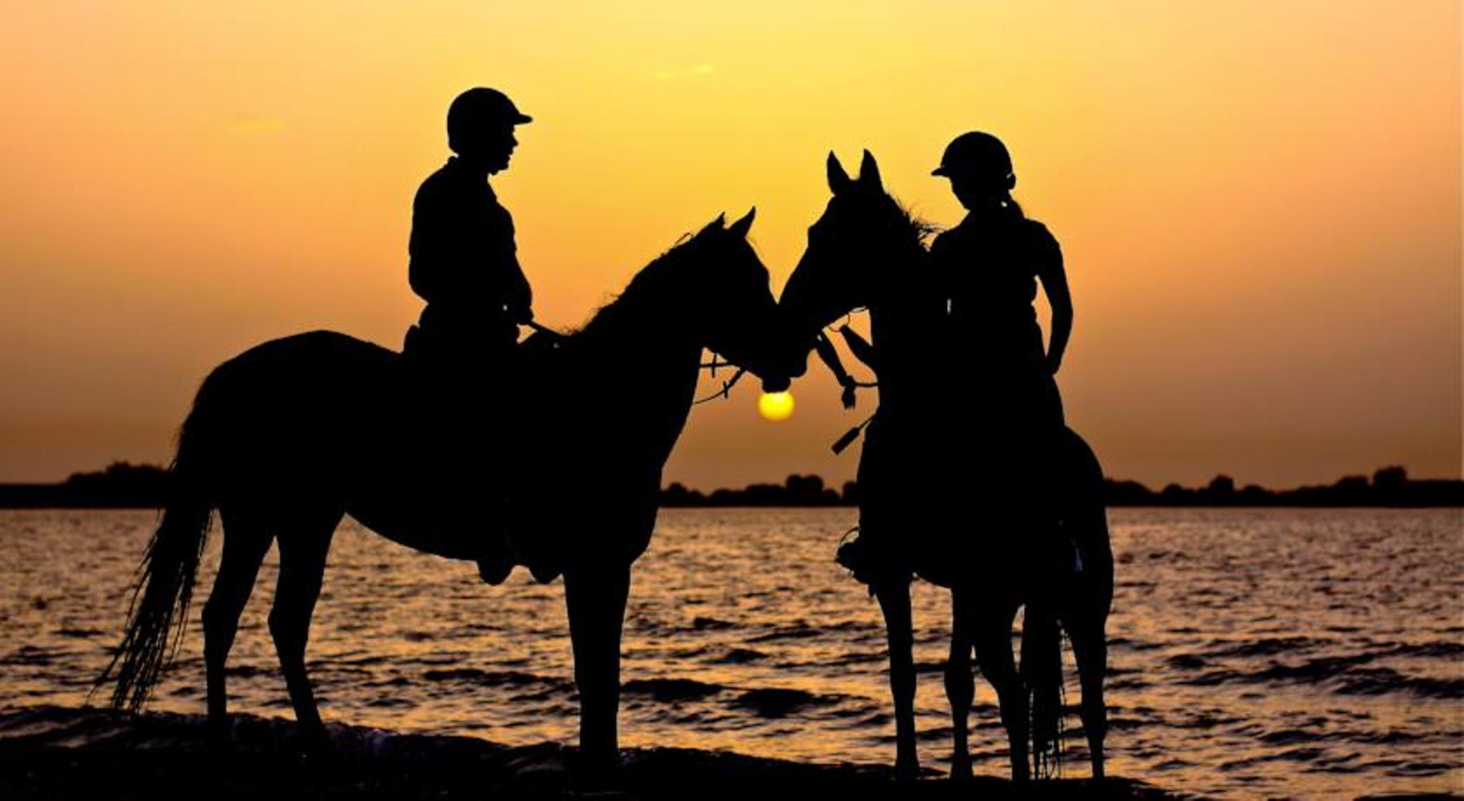 Anantara Sir Bani Yas Island Al Yamm Villa Resort Da'sah Exteriör bild