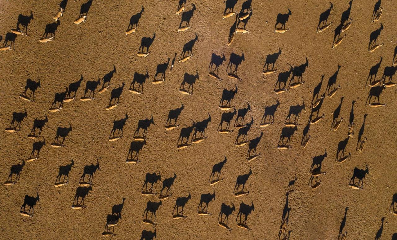 Anantara Sir Bani Yas Island Al Yamm Villa Resort Da'sah Exteriör bild